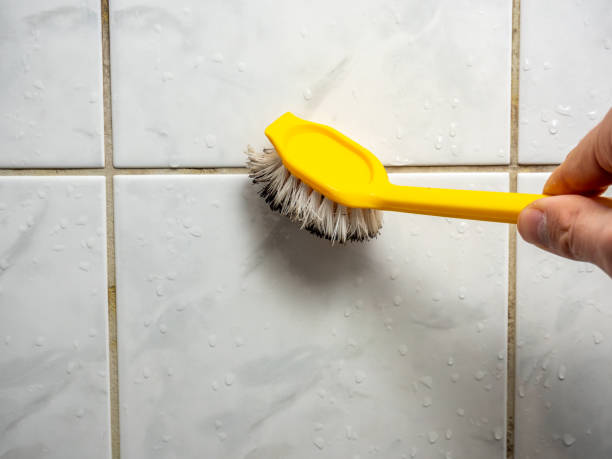 Best Mold Remediation for Specific Building Types in Mattydale, NY